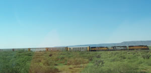 A train in Texas. Exciting!