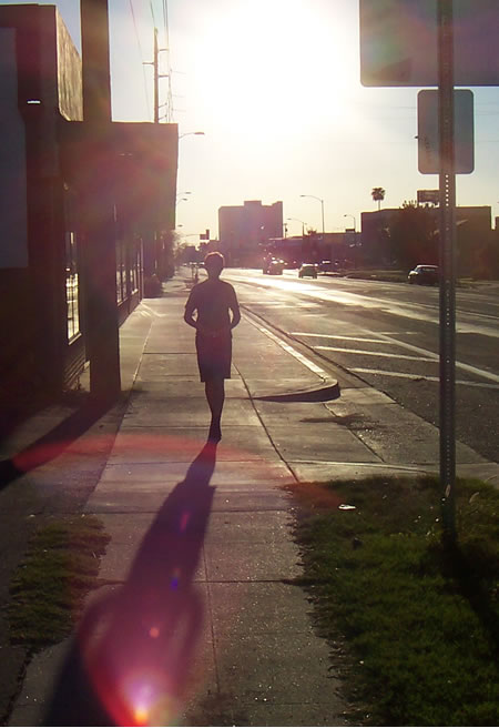 Joss having a stroll in Phoenix